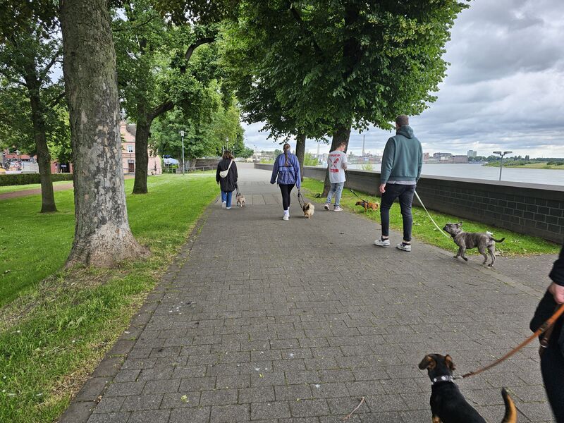 Geführter Spaziergang
